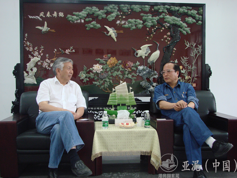 2008年6月21日，中國(guó)水泥協(xié)會(huì)會(huì)長(zhǎng)雷前治視察四川亞?wèn)|