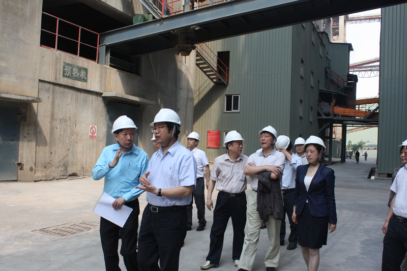 2013年5月3日，武漢市副市長(zhǎng)劉立勇視察湖北亞?wèn)|水泥公司，田隆首席副總經(jīng)理熱情接待。