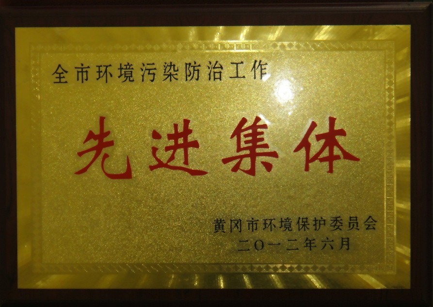全市環(huán)境污染防治工作先進集體（黃岡亞東）
