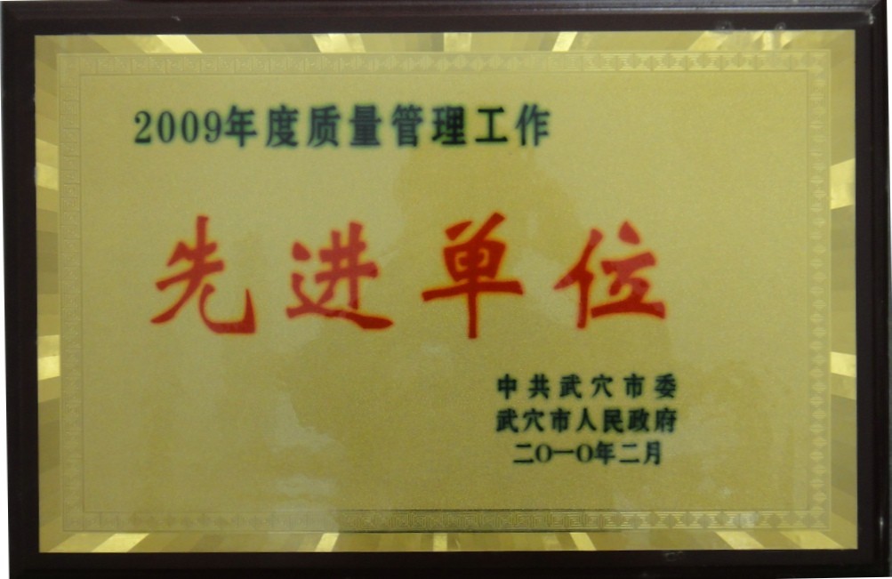 2009年度質(zhì)量管理工作先進(jìn)單位（黃岡亞?wèn)|）