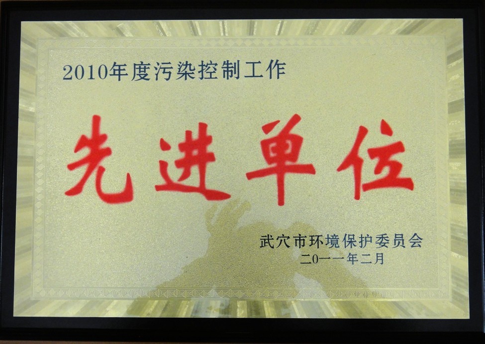 2010年度污染空座工作先進單位（黃岡亞東）