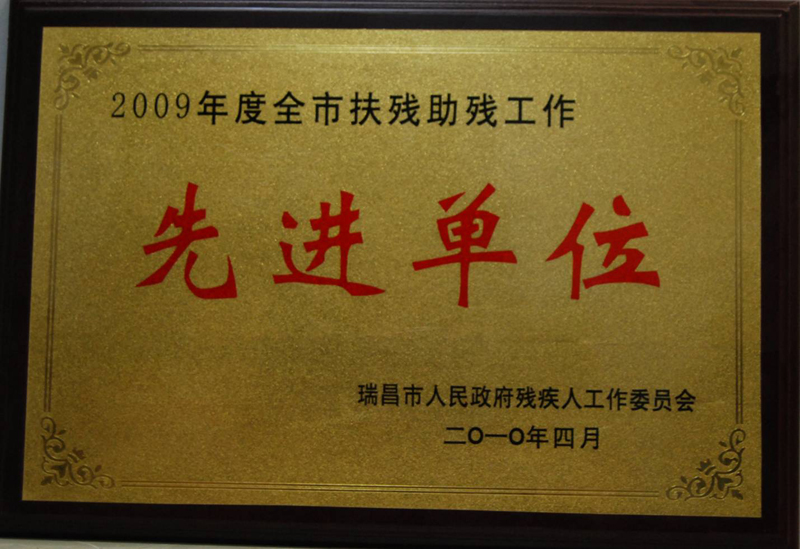 全市扶殘助殘工作先進(jìn)單位（江西亞?wèn)|）