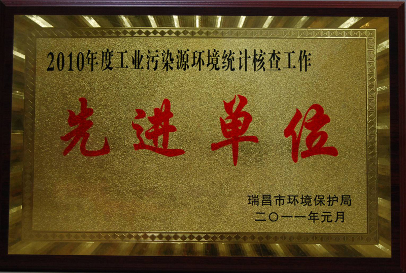 2010年度工業(yè)污染源環(huán)境統(tǒng)計核查工作先進單位（江西亞東）