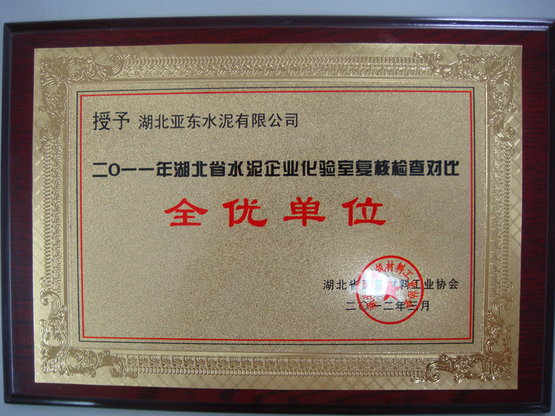 化驗室復(fù)核檢查大對比全優(yōu)單位（湖北亞東）