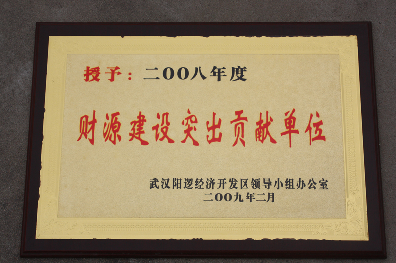 財(cái)源建設(shè)突出貢獻(xiàn)單位（湖北亞?wèn)|）
