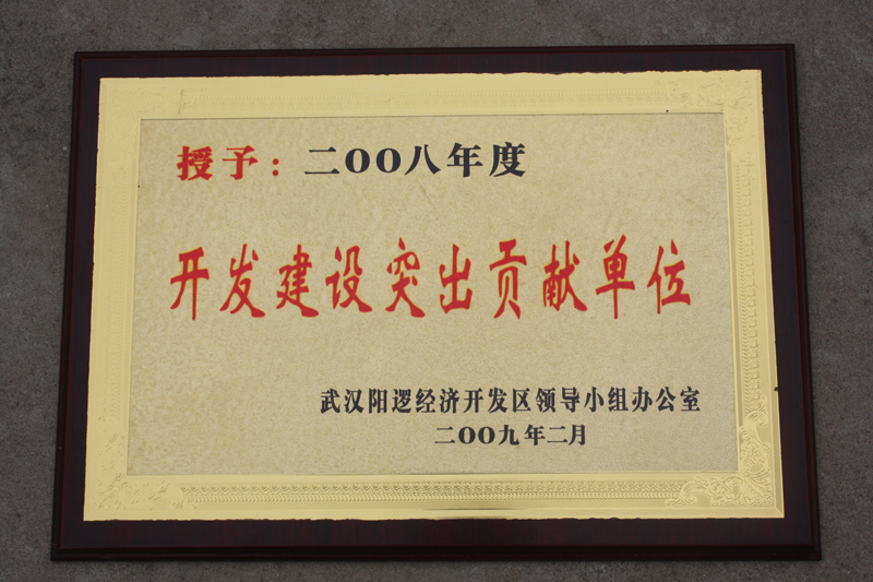 開(kāi)發(fā)建設(shè)突出貢獻(xiàn)單位（湖北亞?wèn)|）