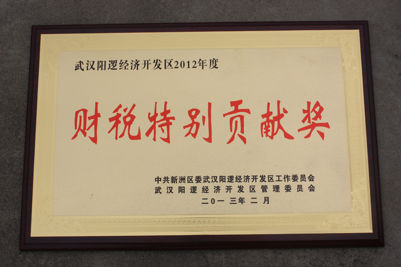 財(cái)稅特別貢獻(xiàn)獎(jiǎng)（湖北亞東）