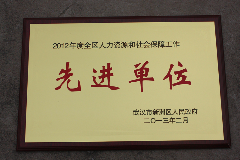 人力資源和社會(huì)保障先進(jìn)單位（湖北亞東）