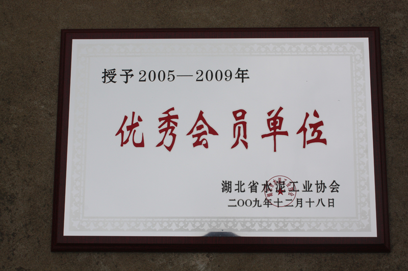 優(yōu)秀會(huì)員單位（湖北亞?wèn)|）