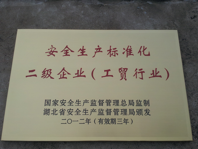 安全生產(chǎn)標(biāo)準(zhǔn)化二級(jí)企業(yè)（湖北亞東）