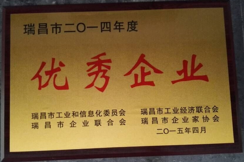 瑞昌市優(yōu)秀企業(yè)獎(jiǎng)（江西亞?wèn)|）