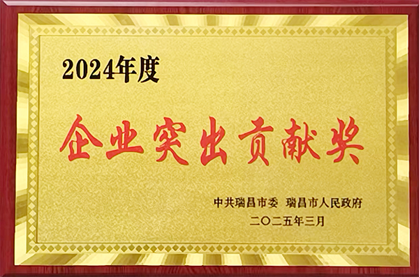 2025年3月10日，瑞昌市召開全市經(jīng)濟(jì)高質(zhì)量發(fā)展大會(huì)，表彰2024年度先進(jìn)單位和個(gè)人，江西亞東獲頒“2024年度企業(yè)突出貢獻(xiàn)獎(jiǎng)”。