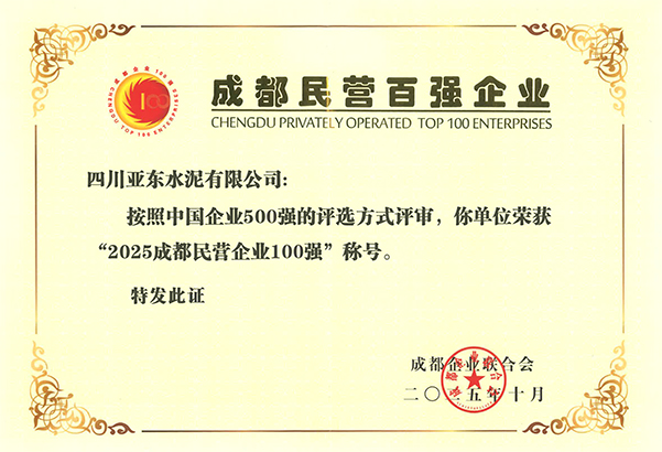 2025年10月28日，四川亞東在成都市企業(yè)創(chuàng)新發(fā)展大會(huì)上，榮獲“2025成都民營企業(yè)100強(qiáng)”稱號(hào)，并獲頒獎(jiǎng)牌。