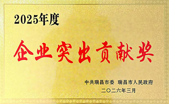 2026年3月13日，江西亞東獲頒瑞昌市